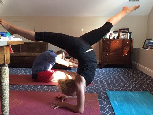 I am present in a forearm stand